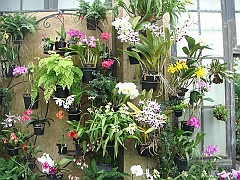 300 Longwood Gardens [2008 August 23]